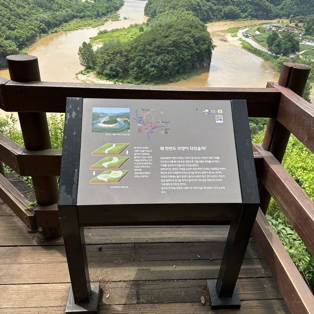 自然に出来た韓国地図！？すごすぎた！