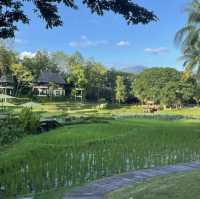 Four Seasons Resort เชียงใหม่ ที่พักสำหรับครอบครัว