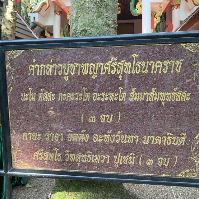 กราบไหว้ขอโชคลาภ วัดป่าสิริสุทโธ คำชะโนด อุดรธานี 