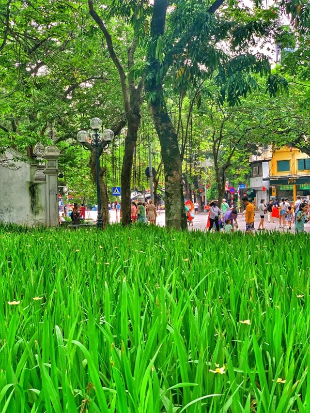 Beautiful Surroundings of Hoan Kiem Lake 