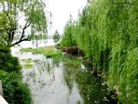 無錫蠡湖公園🏞結合傳統園林與歐式公園風格