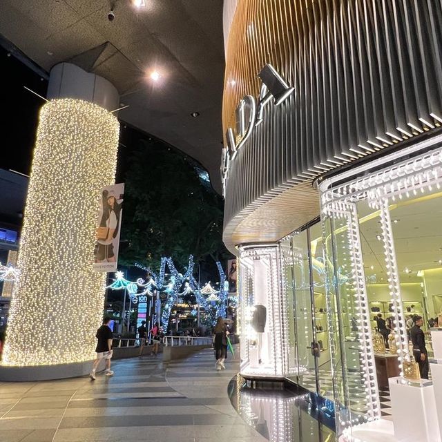 Ion Orchard festival lights