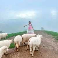 Akha Framville🐑🌳🍃