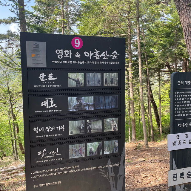 부산 산책하기 좋은 힐링 여행지 아홉산숲
