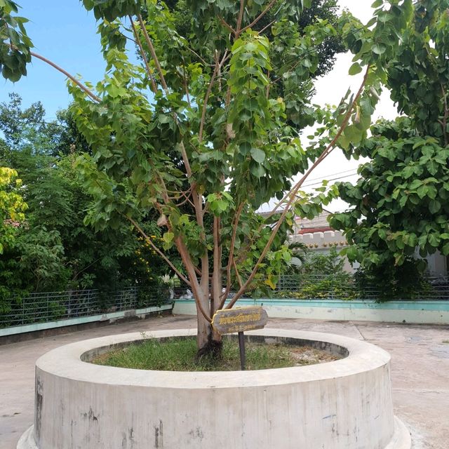 วัดศรีมหาราชา  วัดที่โบสถ์สวยงามมาก