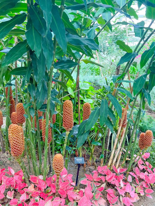 초록 힐링 가능한 부천호수식물원🌿