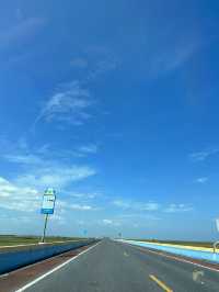ชมควายน้ำ ที่ทะเลน้อย พัทลุง 