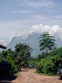 ร้านผัดไทในสวนฝีมือระดับเชฟโรงแรมในราคาท้องถิ่น