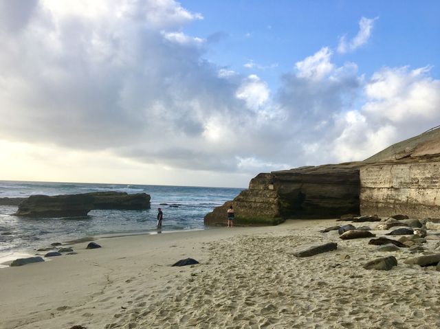 물개가 살고있는 샌디에고 La jolla cove 🖼️
