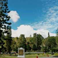 the calm and joy moment at Cameron Highlands 