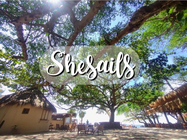 SHE SAILS - Cafe & Beach club 🏝️