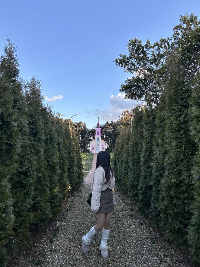 포토존이 가득한 제주 핫플레이스✨
