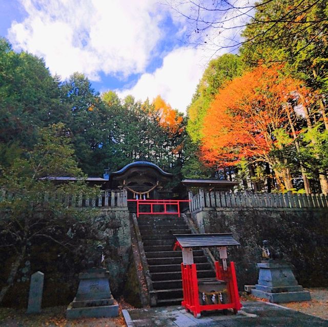 飛騨東照宮 紅葉スポットのご紹介