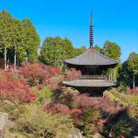 Joraku-ji: Zen Oasis Unveiled