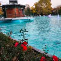 THE UNUSUAL SINGING FOUNTAIN!