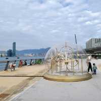 環境優美的東岸公園主題區