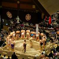 Sumo in Tokyo! 