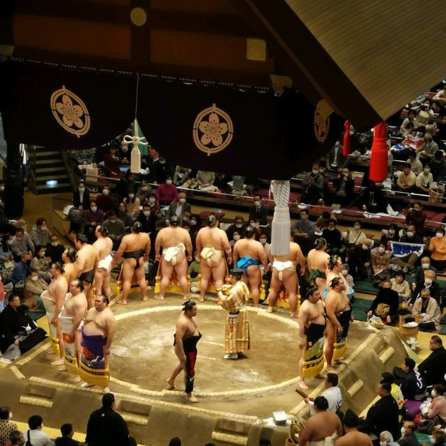 Sumo in Tokyo! 