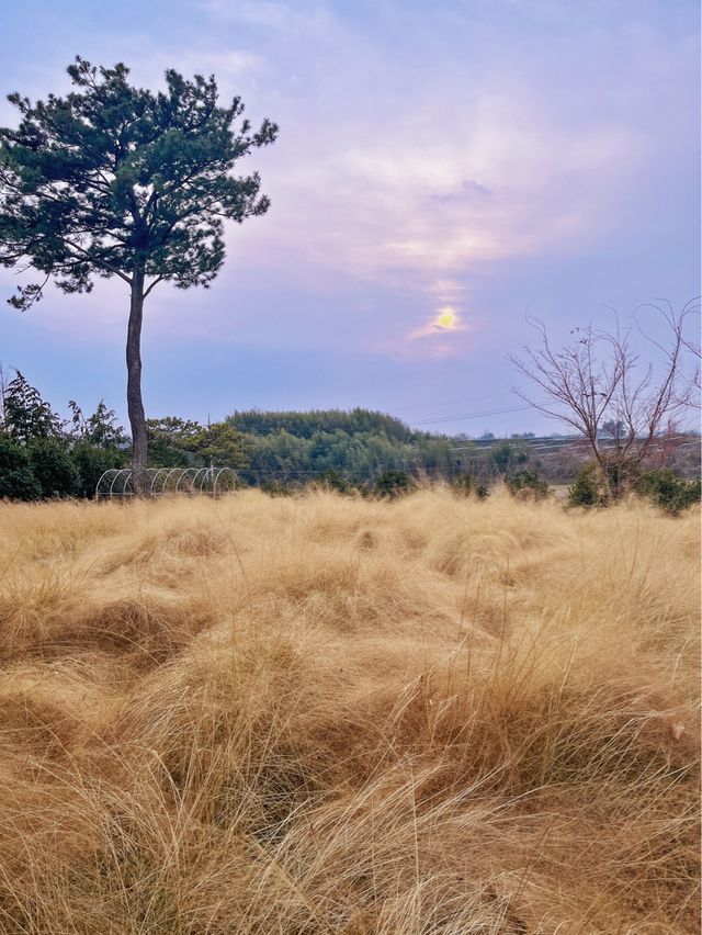 전주 근교 익산에 있는 사유지 식물원 카페 “달빛소리 카페“