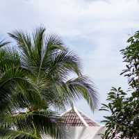 Valhalla Teahouse คาเฟ่บนเขาวิวทะเลเขาหลัก