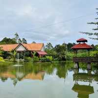 Nature and the sound of river flows