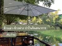 ร้านอร่อย บรรยากาศเหมือนทานในป่า ร่มรื่นมาก