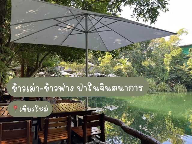 ร้านอร่อย บรรยากาศเหมือนทานในป่า ร่มรื่นมาก