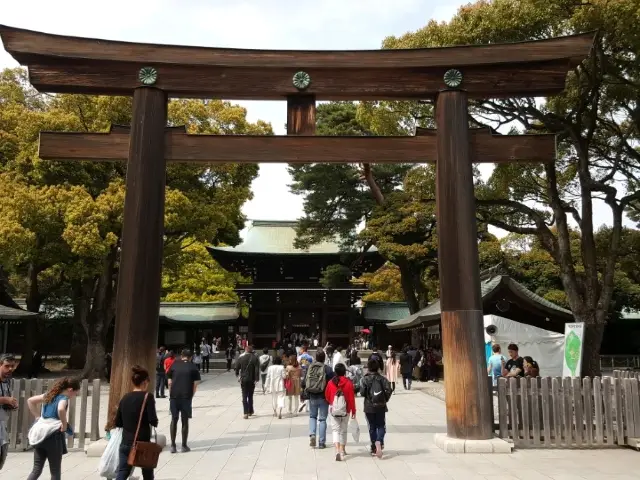 Meiji Shrine, calamity in the heart of Tokyo