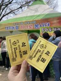 부산에서 즐기는 이색축제
