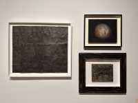 香港展覽 | M+ | 草間彌生：一九四五年至今