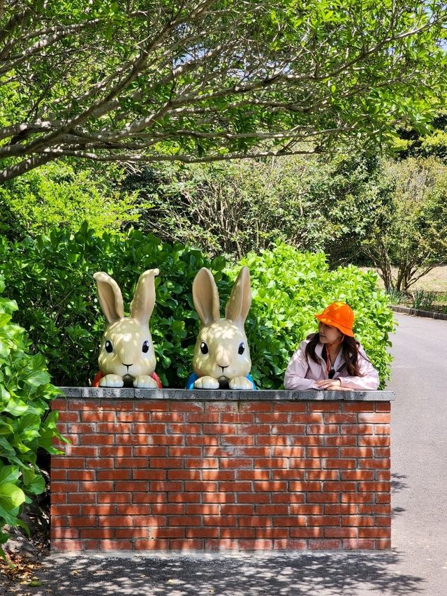 1년 내내 꽃 축제로구나🌹🌺🌳 서귀포 상효원수목원