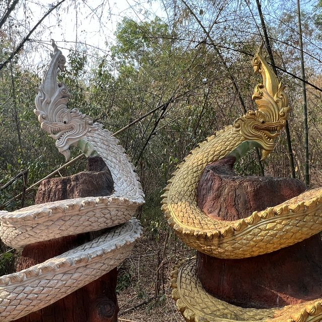 ตามรอยตำนานพญานาค ผจญภัย ถ้ำดินเพียง หนองคาย🐉