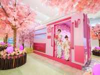 【5月限定】香港賞櫻🌸鐵道🚊之旅