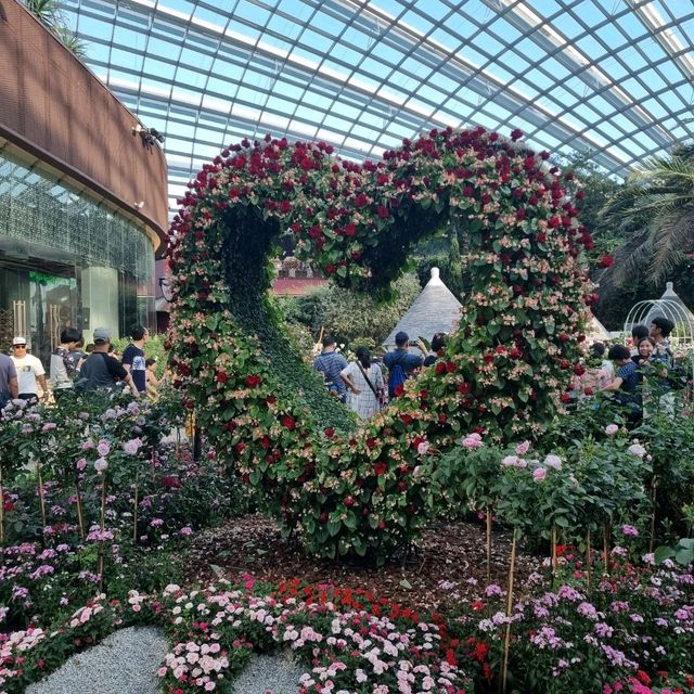 The Flower Dome @ Gardens By The Bay