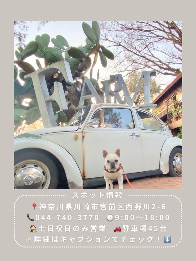 【川崎】インスタ映え抜群なお花屋さん🌼