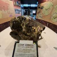 พิพิธภัณฑ์ไม้กลายเป็นหิน ตามรอยยุคหินไดโนเสาร์