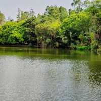 Beauty of Singapore Botanical Gardens