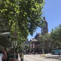 Free Ride City Tram