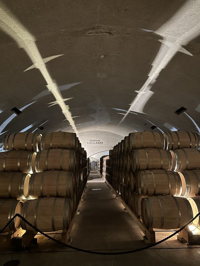 Quinta Do Vallado 摘提子得酒莊