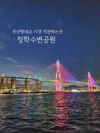 청학수변공원에서 부산항대교 야경즐기기✨️