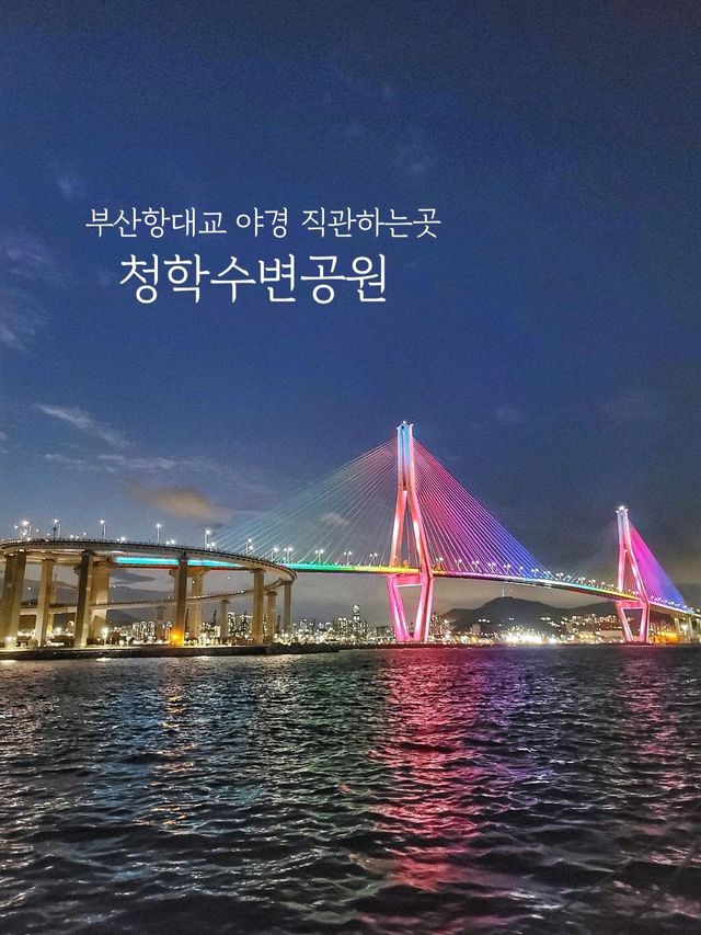 청학수변공원에서 부산항대교 야경즐기기✨️