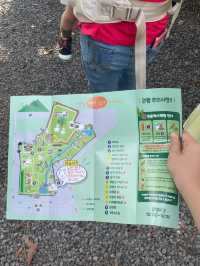 다양한동물들을 직접만지고 밥도주는 제주새별프렌즈