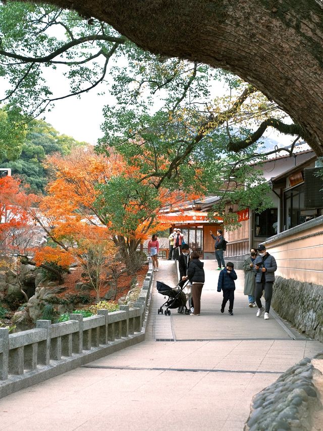 日本九州 ｜ 福岡必去景點 太宰府天滿宮⛩️