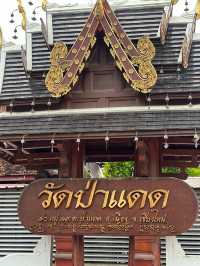 พาไปมูที่วัดป่าแดด วัดดังและปังที่สุดในเชียงใหม่ 