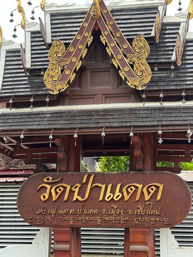 พาไปมูที่วัดป่าแดด วัดดังและปังที่สุดในเชียงใหม่ 