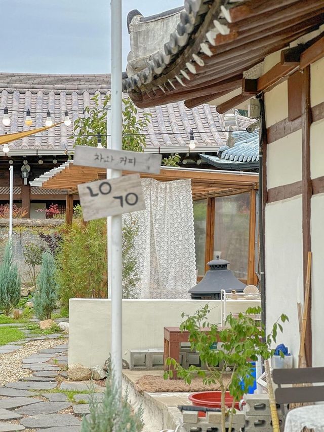 전주 애견동반 카페 추천, 너의 고요☕️🤎