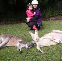 Animal fun at Caversham Wildlife Park