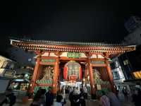 THE GATE HOTEL 雷門 by HULIC