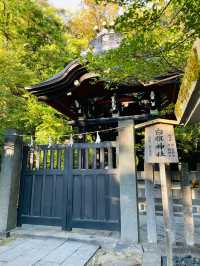 【神奈川県/白旗神社】漆黒の趣ある社殿