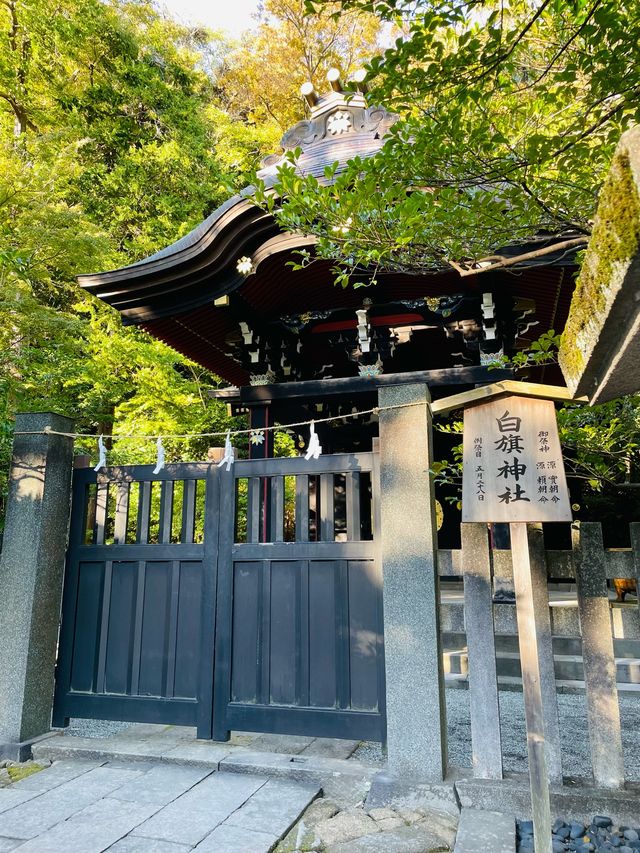 【神奈川県/白旗神社】漆黒の趣ある社殿
